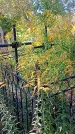 Захоронение ID 1291436