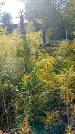 Захоронение ID 1291437