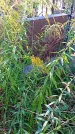 Захоронение ID 1291439