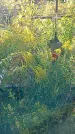Захоронение ID 1291441