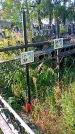 Захоронение ID 1291467