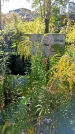 Захоронение ID 1291471