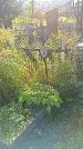 Захоронение ID 1291475