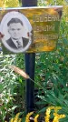 Захоронение ID 1291506