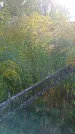 Захоронение ID 1291523