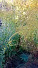 Захоронение ID 1291524