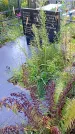 Захоронение ID 1291525