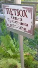 Захоронение ID 1291557