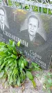 Захоронение ID 1291568