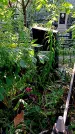 Захоронение ID 1291595