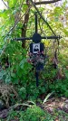 Захоронение ID 1291608