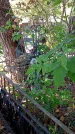 Захоронение ID 1291646