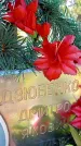 Захоронение ID 1291663