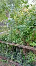 Захоронение ID 1291689