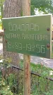 Захоронение ID 1291690