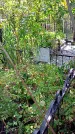 Захоронение ID 1291759