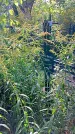 Захоронение ID 1291863