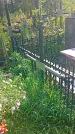 Захоронение ID 1291995