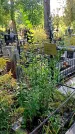 Захоронение ID 1292000