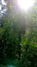 Захоронение ID 1292007