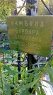 Захоронение ID 1292039