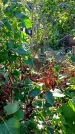 Захоронение ID 1292051