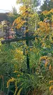 Захоронение ID 1292277