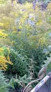 Захоронение ID 1292313