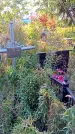 Захоронение ID 1292383