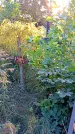 Захоронение ID 1292454