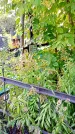 Захоронение ID 1292473