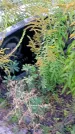 Захоронение ID 1292504