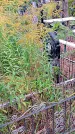 Захоронение ID 1292571