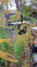 Захоронение ID 1292572