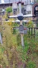 Захоронение ID 1292585