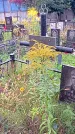 Захоронение ID 1292639