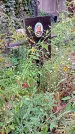 Захоронение ID 1292696