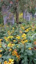 Захоронение ID 1292703