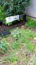 Захоронение ID 1292843