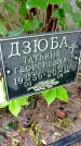 Захоронение ID 1292844