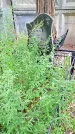 Захоронение ID 1292859