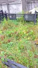 Захоронение ID 1292863