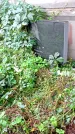 Захоронение ID 1292928