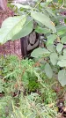 Захоронение ID 1292936
