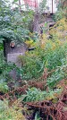 Захоронение ID 1292941