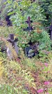 Захоронение ID 1292953