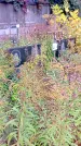 Захоронение ID 1292971