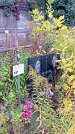 Захоронение ID 1292973
