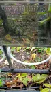 Захоронение ID 1292986