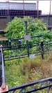 Захоронение ID 1293005
